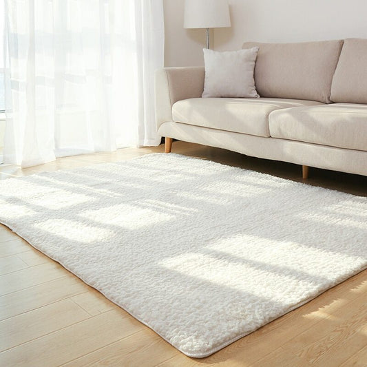 Fluffy Plush Area Rug